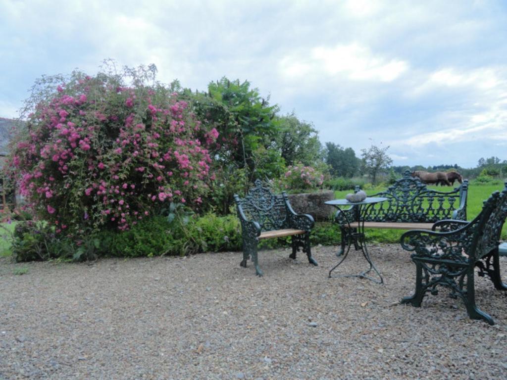 Bed and Breakfast Manoir De La Branche Maen Roch Экстерьер фото