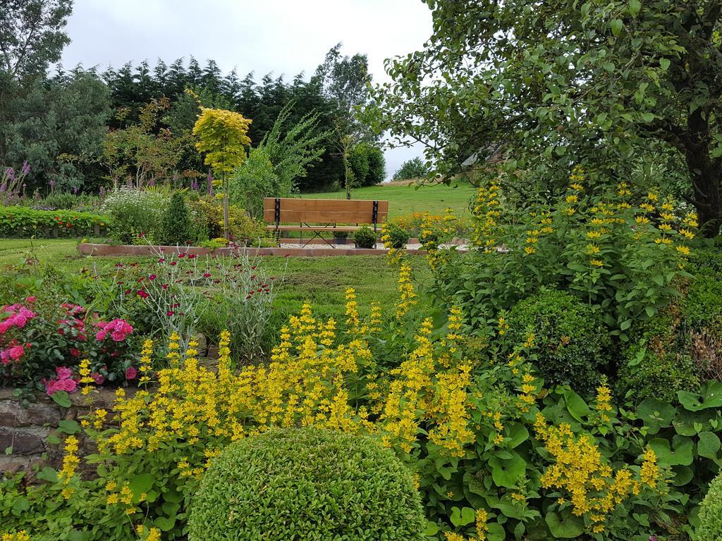 Bed and Breakfast Manoir De La Branche Maen Roch Экстерьер фото