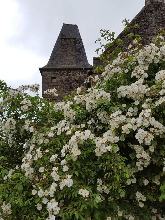 Bed and Breakfast Manoir De La Branche Maen Roch Экстерьер фото