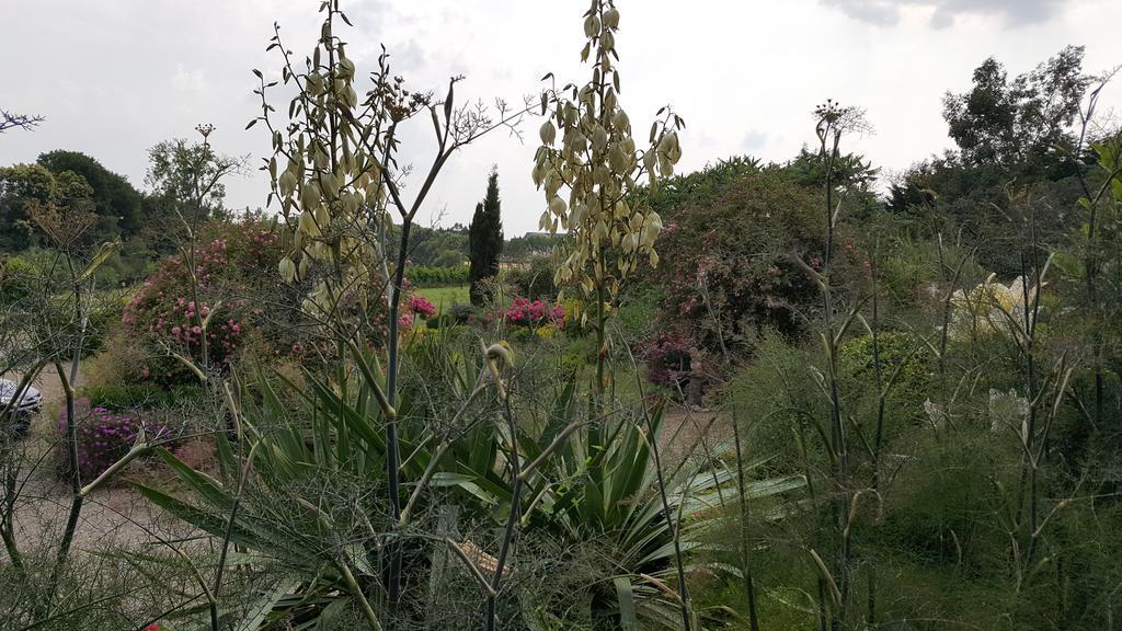 Bed and Breakfast Manoir De La Branche Maen Roch Экстерьер фото