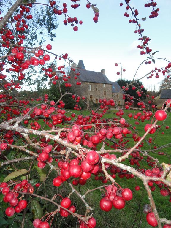 Bed and Breakfast Manoir De La Branche Maen Roch Экстерьер фото