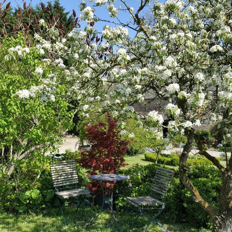 Bed and Breakfast Manoir De La Branche Maen Roch Экстерьер фото